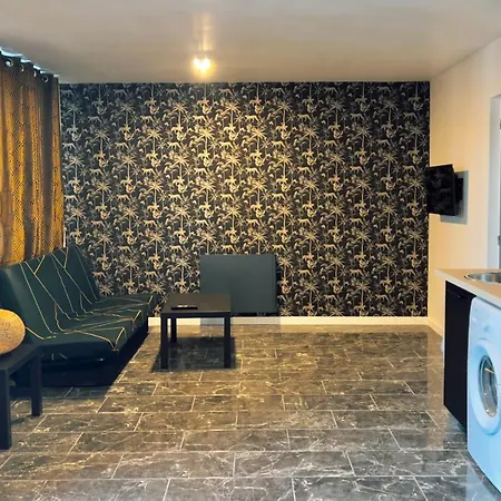 Apartament Cosy Et Spacieux Avec Balcon Feyzin